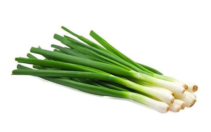 Bawang Daun